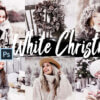 05 white christmas photoshop actions acr - ByPresets