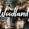 05 woodland photoshop actions acr lut - ByPresets