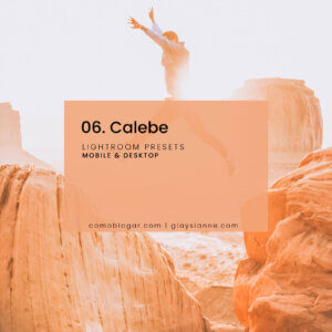 06. Calebe Blogger Lightroom Presets