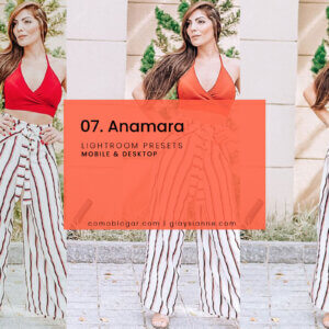 07. Anamara Blogger Lightroom Presets