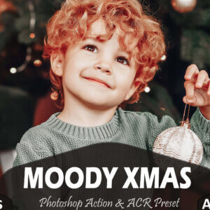 10 Moody Xmas Photoshop Actions And ACR