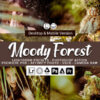 20 Moody Forest Presets Graphics 7271988 1 1 580x387 1 - ByPresets