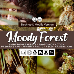 20 Moody Forest Lightroom Presets