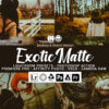 20 exotic matte presets - ByPresets