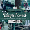 20 magic forest presets - ByPresets