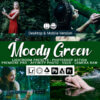 20 moody green presets - ByPresets