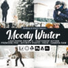 20 moody winter presets - ByPresets