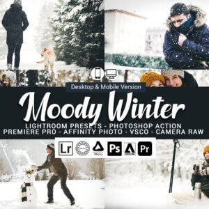 20 Moody Winter Lightroom Presets