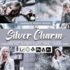 20 silver charm presets - ByPresets