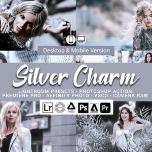 20 Silver Charm Lightroom Presets