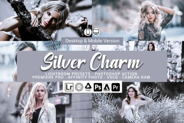 20 silver charm presets scaled - ByPresets