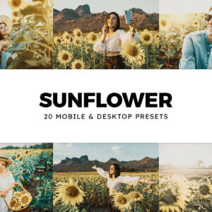 20 Sunflower Lightroom Presets and LUTs