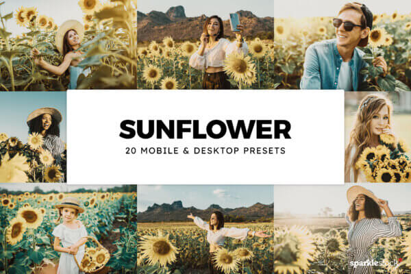 20 sunflower lightroom presets and luts - ByPresets