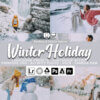 20 winter holiday presets - ByPresets