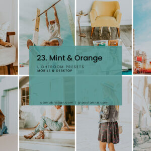 23. Mint & Orange Presets