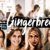 5 gingerbread action acr and lut preset - ByPresets