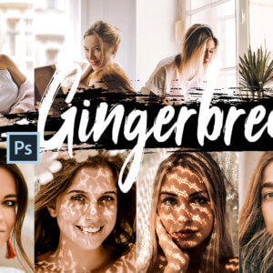 5 Gingerbread Action ACR and LUT Preset