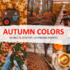 autumn lightroom mobile presets - ByPresets