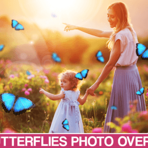 Butterfly Overlay and Butterflies Photoshop