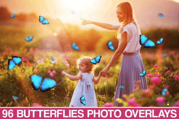 butterfly overlay butterflies photoshop - ByPresets