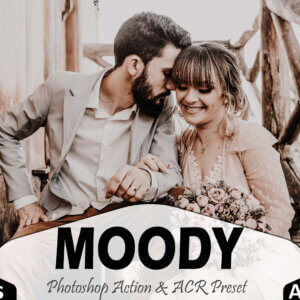 Moody Photoshop Actions and ACR Presets