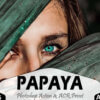 papaya photoshop actions and acr presets - ByPresets