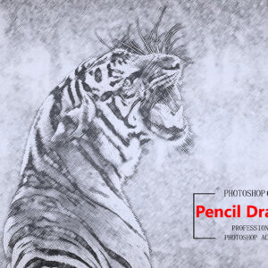 Pencil Drawing 1 – Photoshop Action