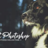 pet photoshop actions collection - ByPresets