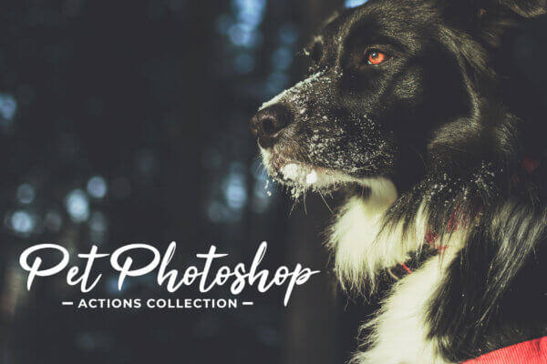 pet photoshop actions collection - ByPresets