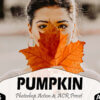 pumpkin photoshop actions and acr preset - ByPresets