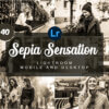 sepia sensation mobile and desktop prese - ByPresets