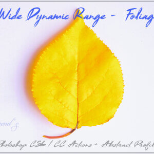 Wide Dynamic Range – Foliage Actions