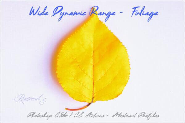 wide dynamic range foliage actions - ByPresets