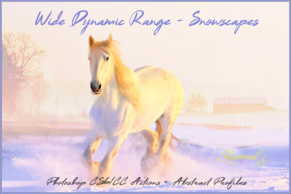 wide dynamic range snowscapes actions - ByPresets