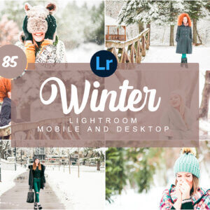 Winter Mobile and Desktop Lightroom Presets